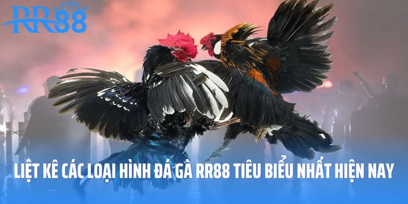 Liệt kê các loại hình đá gà RR88 tiêu biểu nhất hiện nay