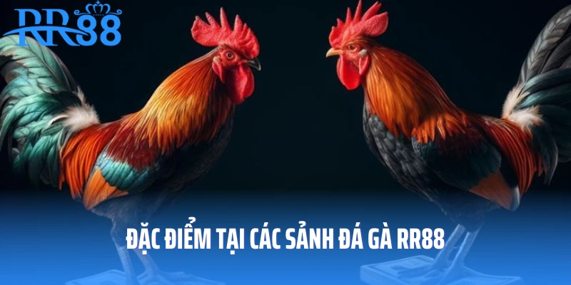 Lợi ích tại sảnh đá gà RR88