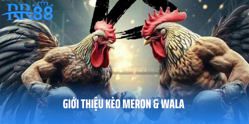 Giới thiệu kèo Meron - Wala