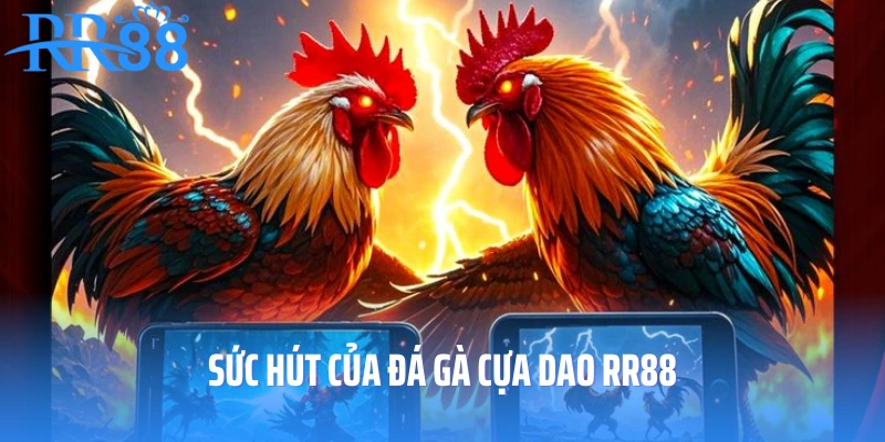 Sức hút của đá gà cựa dao RR88