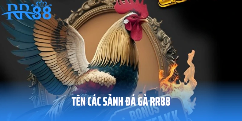 Tên các sảnh đá gà RR88