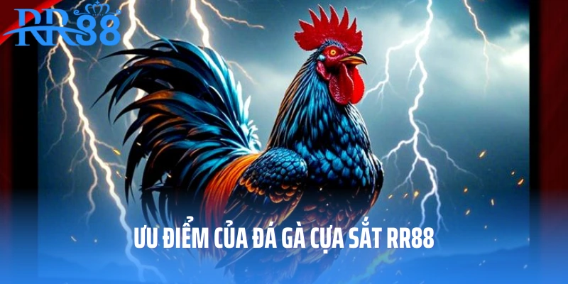 Ưu điểm của đá gà cựa sắt RR88