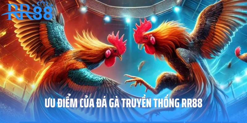 Ưu điểm của đá gà truyền thống RR88