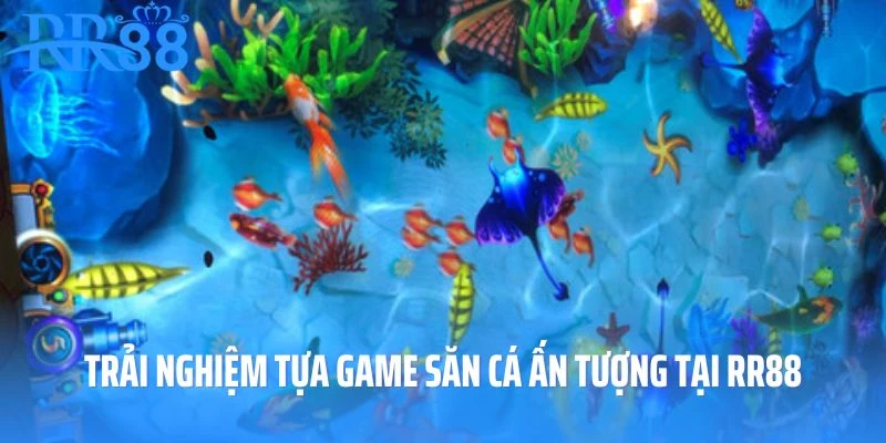 Trải nghiệm tựa game săn cá ấn tượng tại RR88