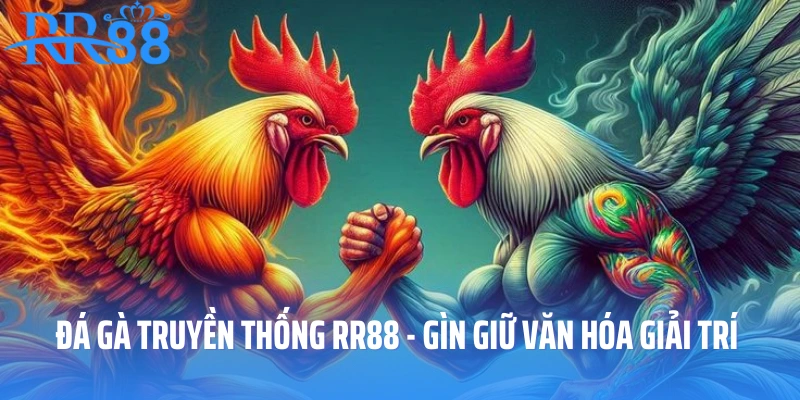 Đá Gà Truyền Thống RR88 - Gìn Giữ Văn Hóa Giải Trí Đông Nam Á