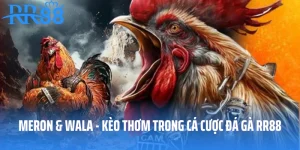 Meron & Wala - Kèo Thơm Trong Cá Cược Đá Gà RR88