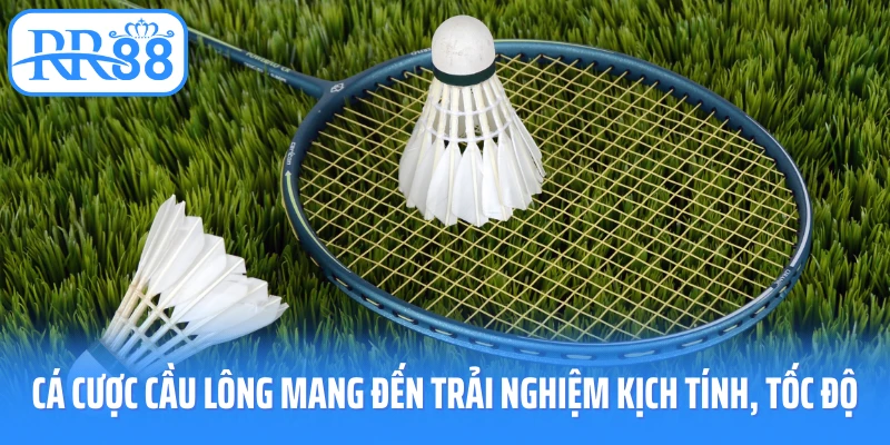 Cá cược cầu lông mang đến trải nghiệm kịch tính, tốc độ