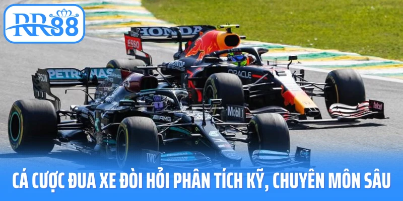 Cá cược đua xe đòi hỏi phân tích kỹ, chuyên môn sâu