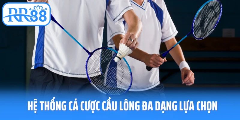 Hệ thống cá cược cầu lông đa dạng lựa chọn