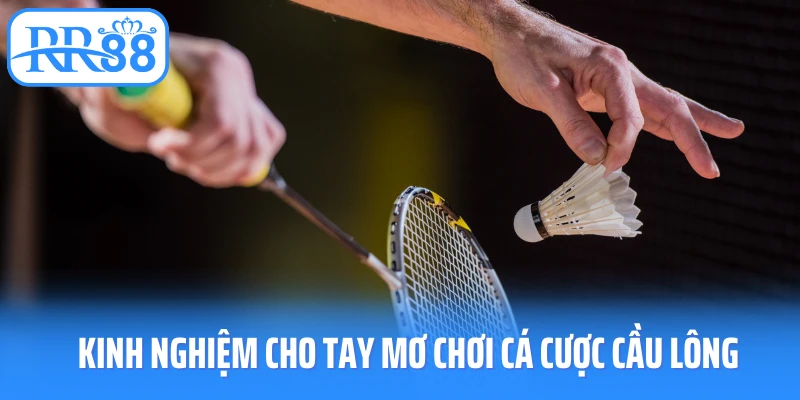 Kinh nghiệm cho tay mơ chơi cá cược cầu lông