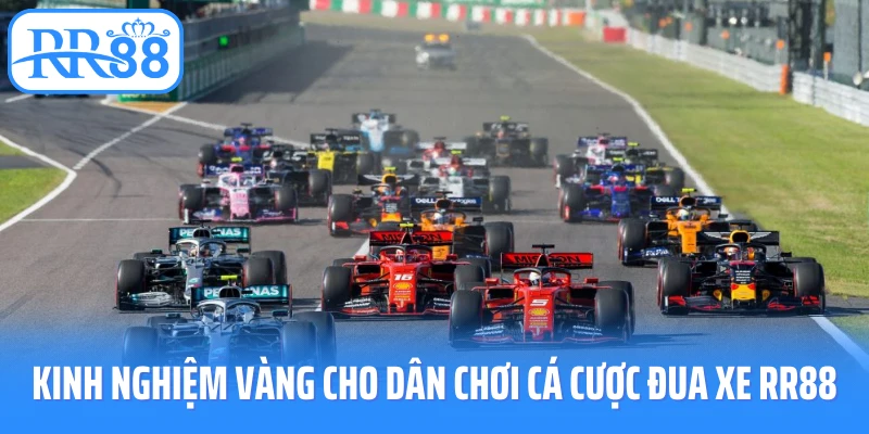 Kinh nghiệm vàng cho dân chơi cá cược đua xe RR88